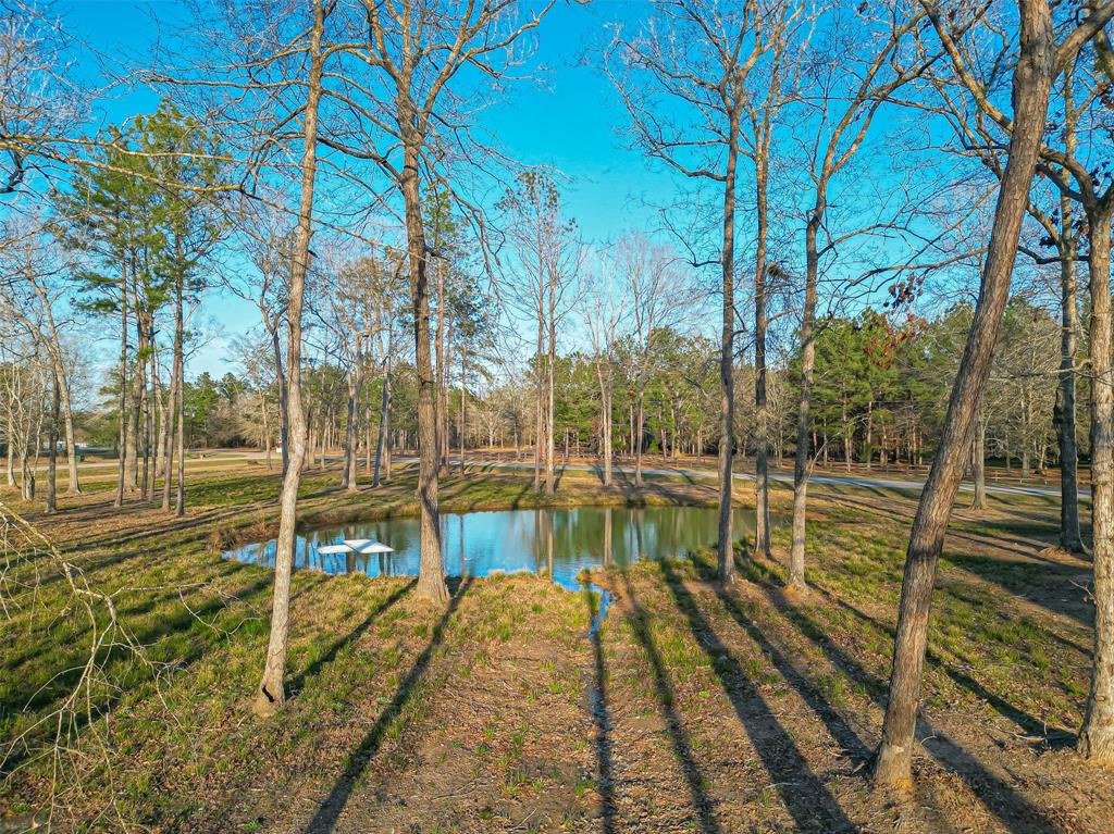 21121 Grant Lake Circle, Cleveland, Texas image 42