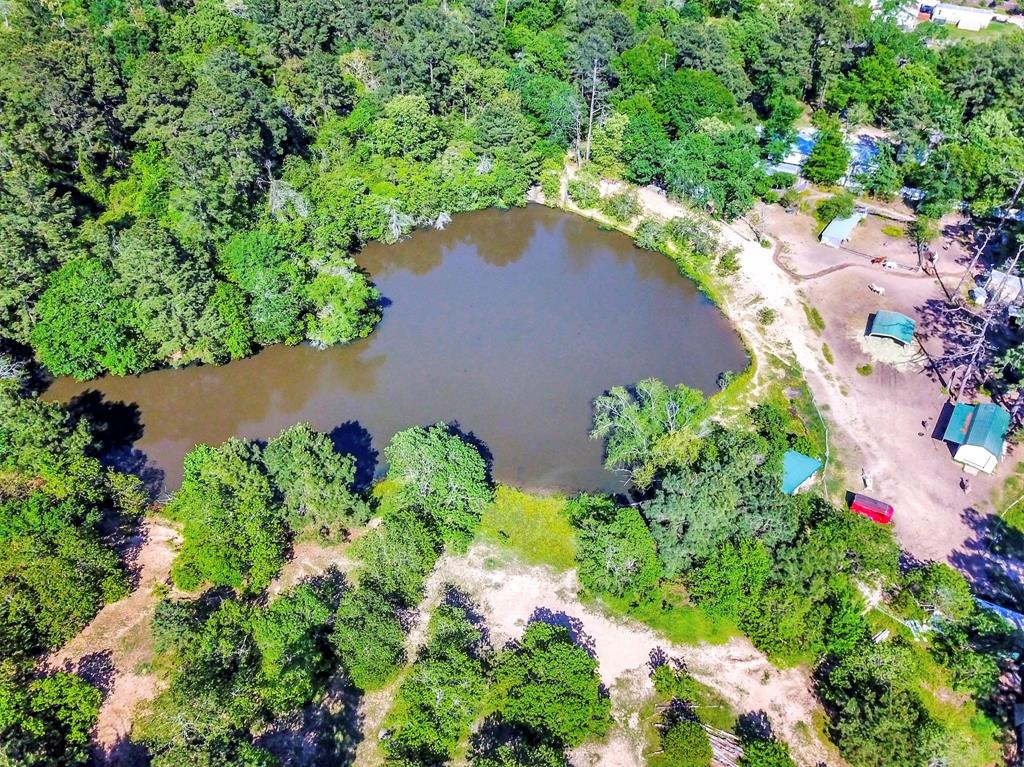 19830 Turtle Dove Lane Ln, Magnolia, Texas image 1