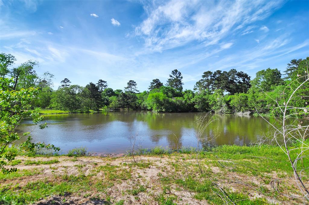 19830 Turtle Dove Lane Ln, Magnolia, Texas image 11