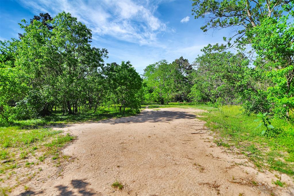 19830 Turtle Dove Lane Ln, Magnolia, Texas image 3
