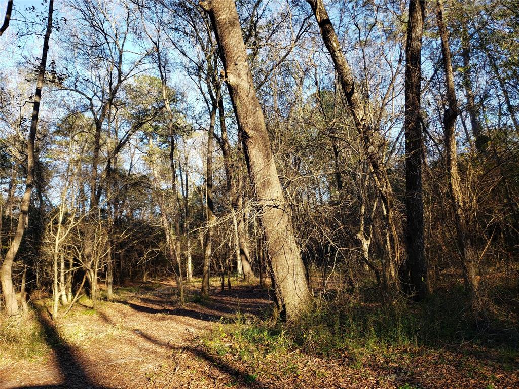 Lazy Creek Drive, New Caney, Texas image 2