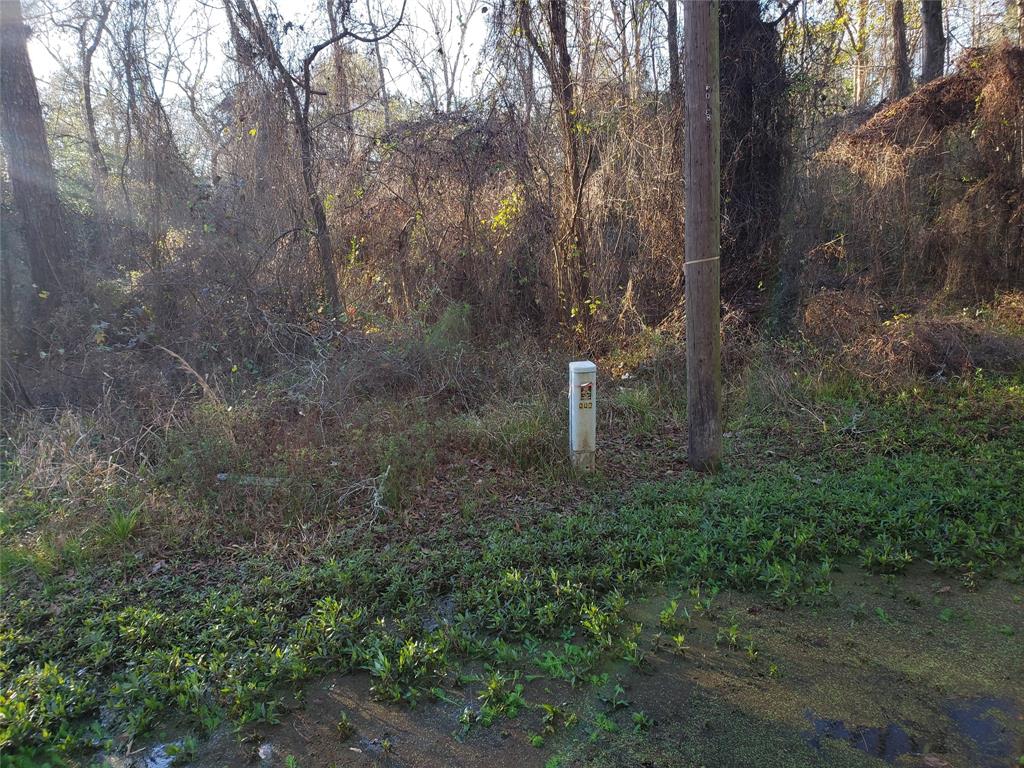 Lazy Creek Drive, New Caney, Texas image 5