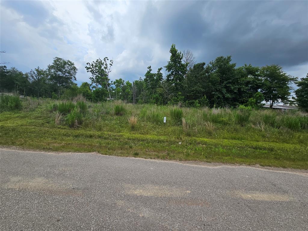 12551 County Road 37494, Cleveland, Texas image 1