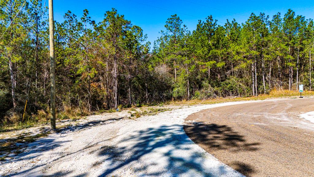 029 Sportsman Retreat Road, Onalaska, Texas image 6