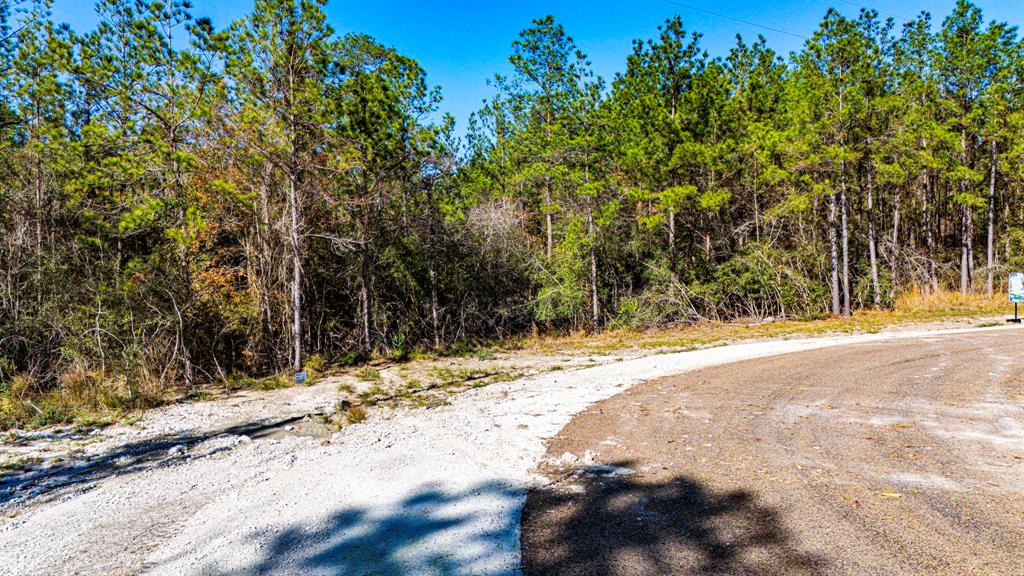 029 Sportsman Retreat Road, Onalaska, Texas image 7