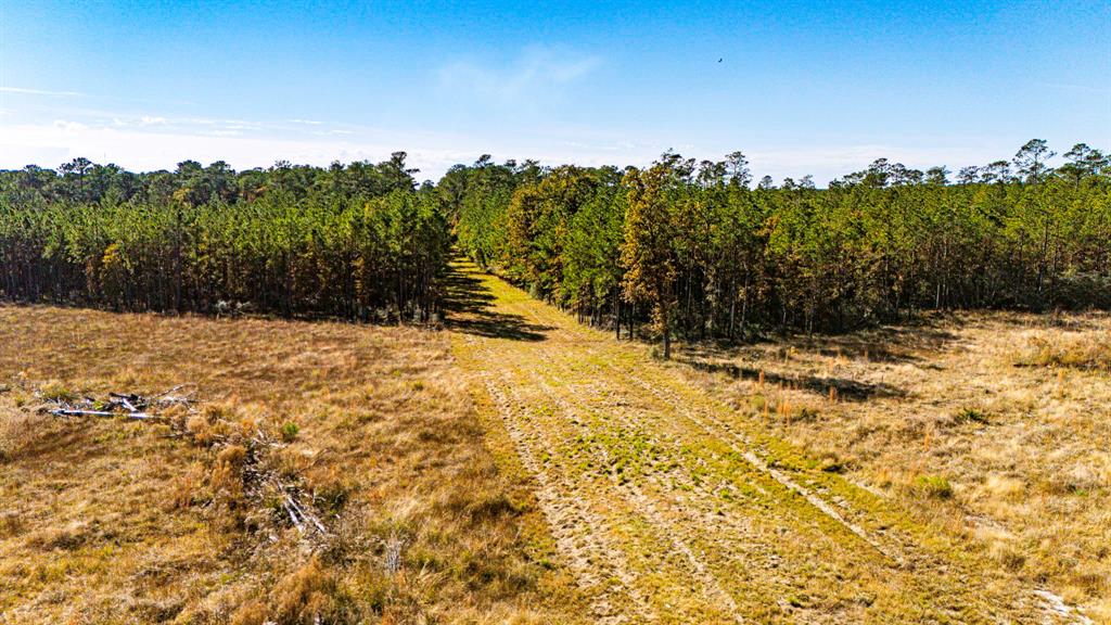 029 Sportsman Retreat Road, Onalaska, Texas image 14