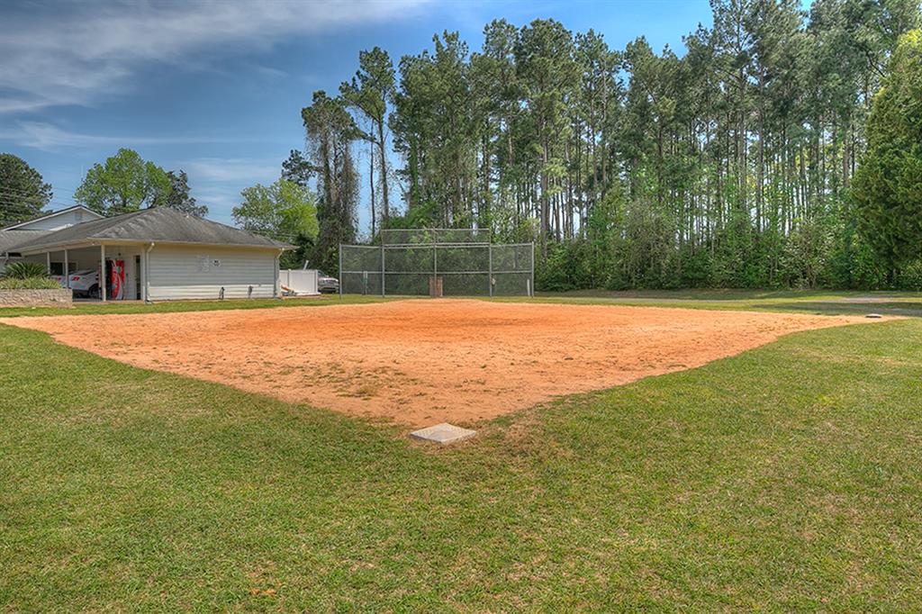 47 Lakeview Village Village, Montgomery, Texas image 38