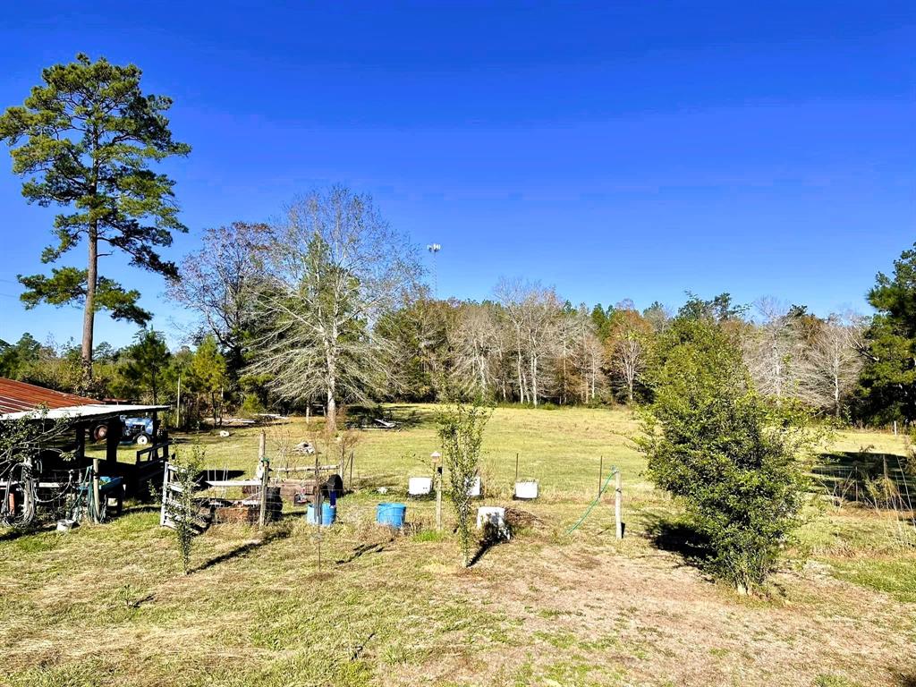 717 County Road 4392, Spurger, Texas image 16