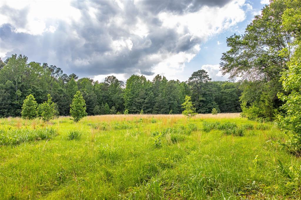 1944 County Road 839, Nacogdoches, Texas image 27