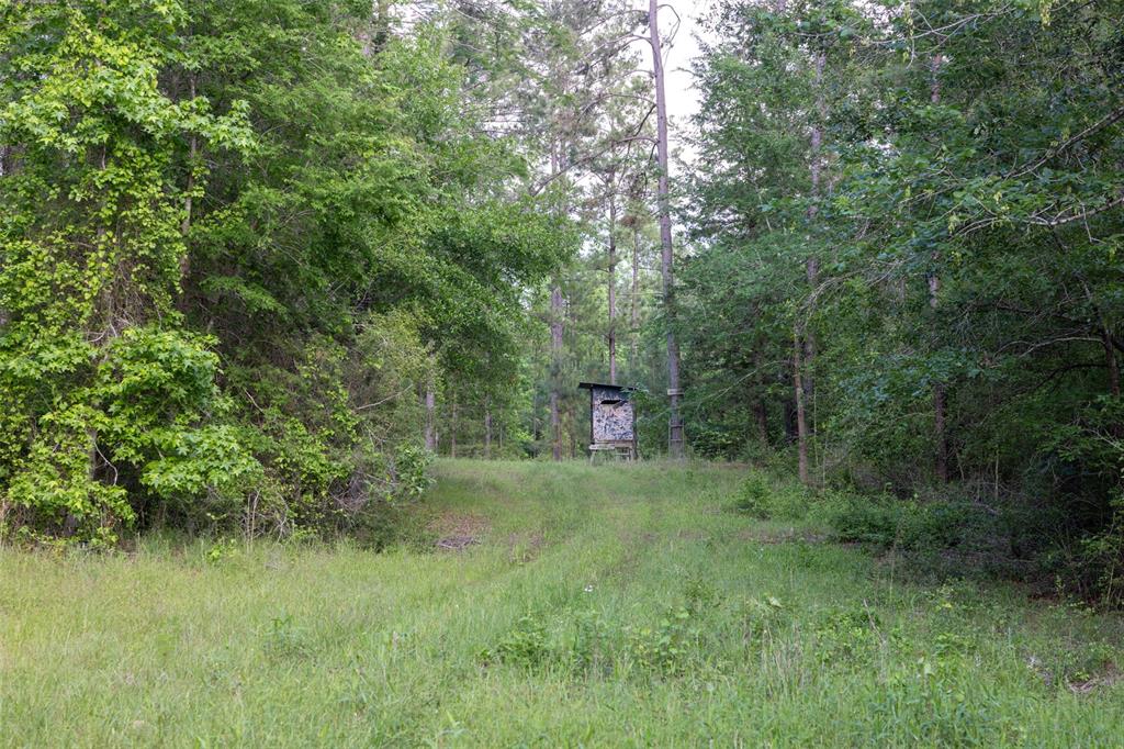 1944 County Road 839, Nacogdoches, Texas image 36