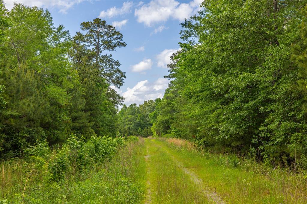 1944 County Road 839, Nacogdoches, Texas image 28