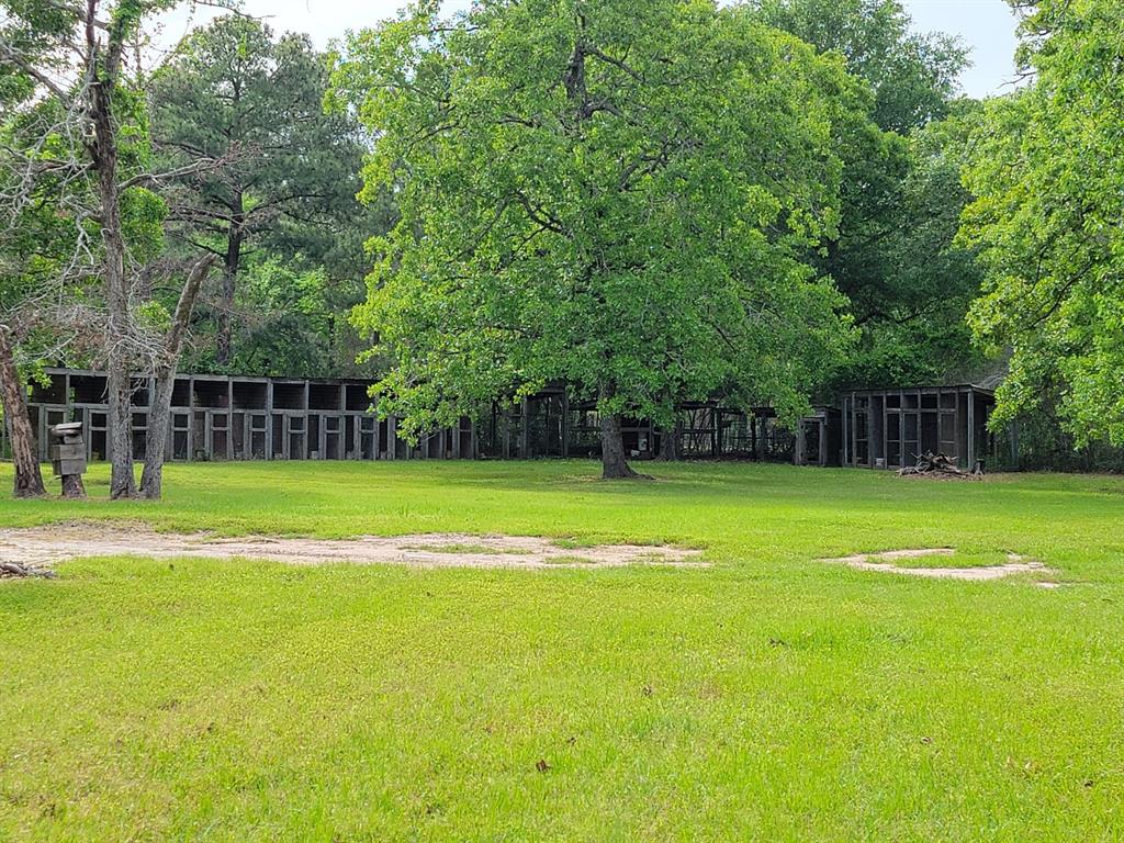 157 Oates Brothers Road, Trinity, Texas image 23