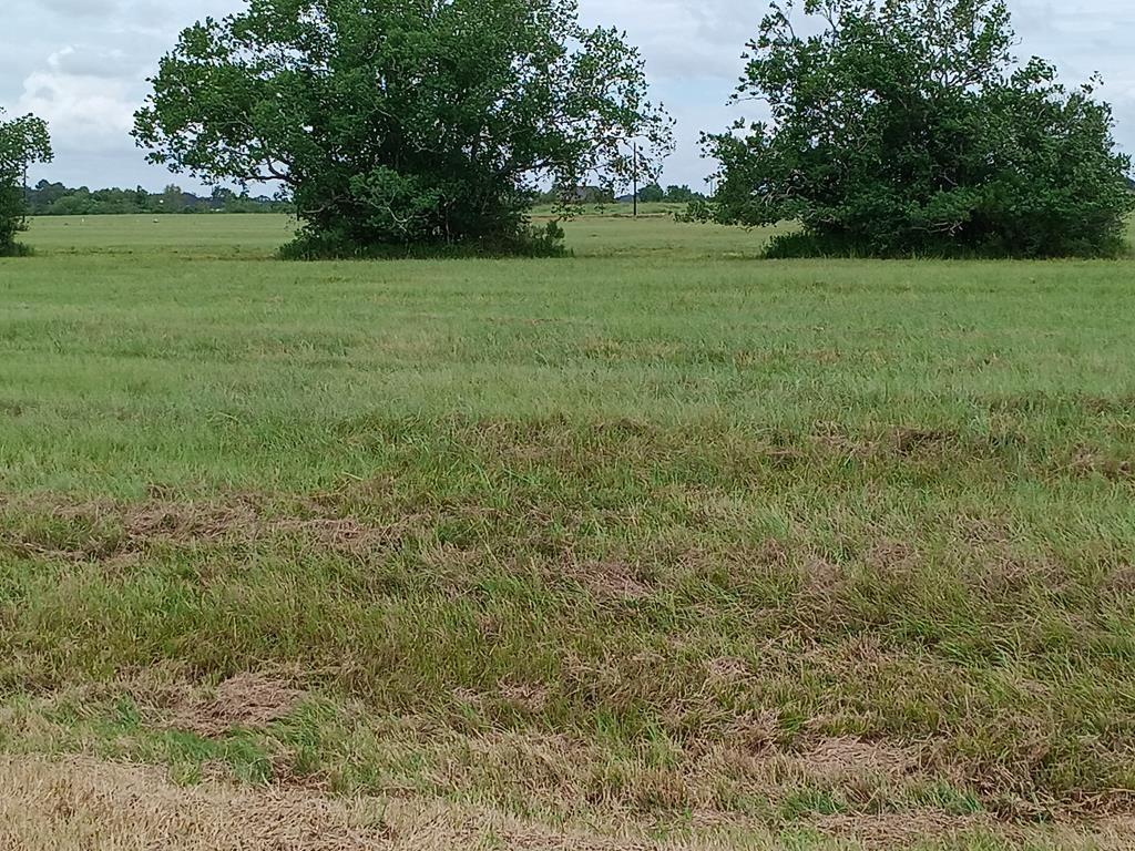 00 Brahman Trail, Angleton, Texas image 9