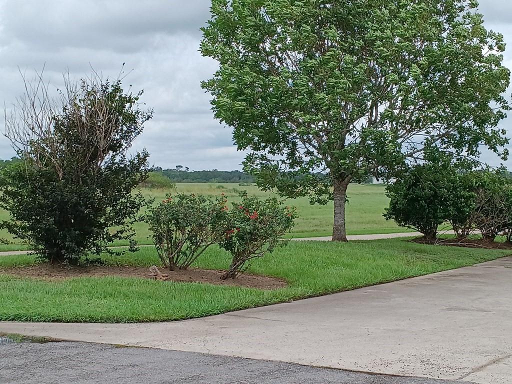 00 Brahman Trail, Angleton, Texas image 4