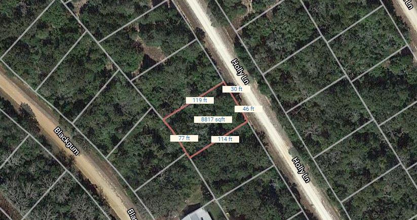 Lot 19 Holly Lane, Normangee, Texas image 2