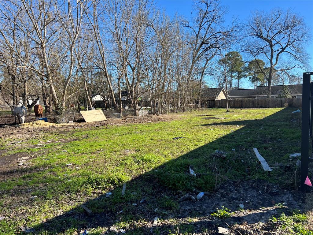 1027 Adolph Drive, Houston, Texas image 1