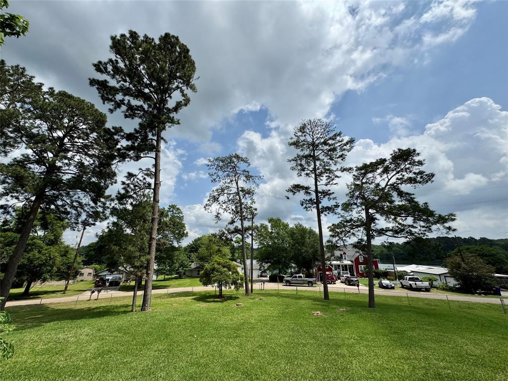 16445 Lochness Drive, Willis, Texas image 19