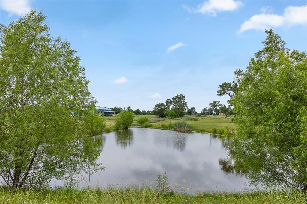 5292 Horseshoe Drive, Anderson, Texas image 36