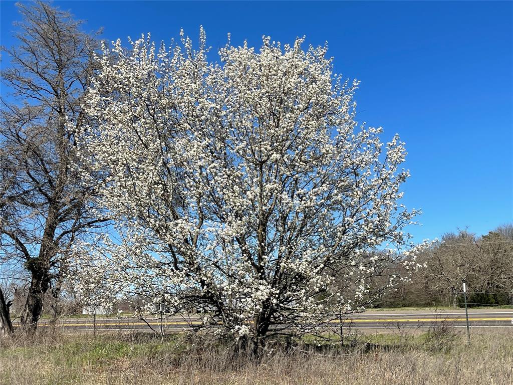 TBD Fm 1365, Mexia, Texas image 12