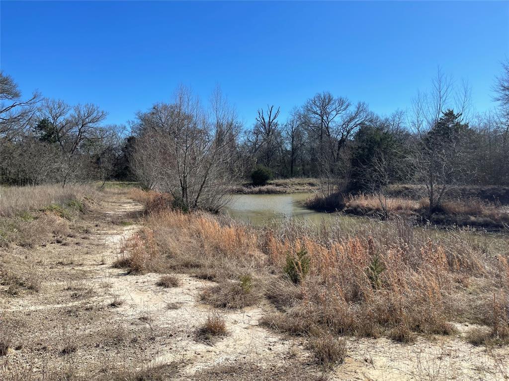 TBD Fm 1365, Mexia, Texas image 7