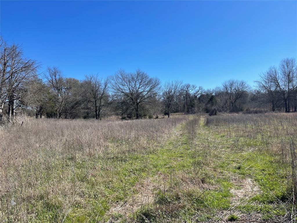 TBD Fm 1365, Mexia, Texas image 11