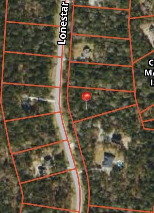 TBD LOT 51 Lonestar Road, Huntsville, Texas image 2