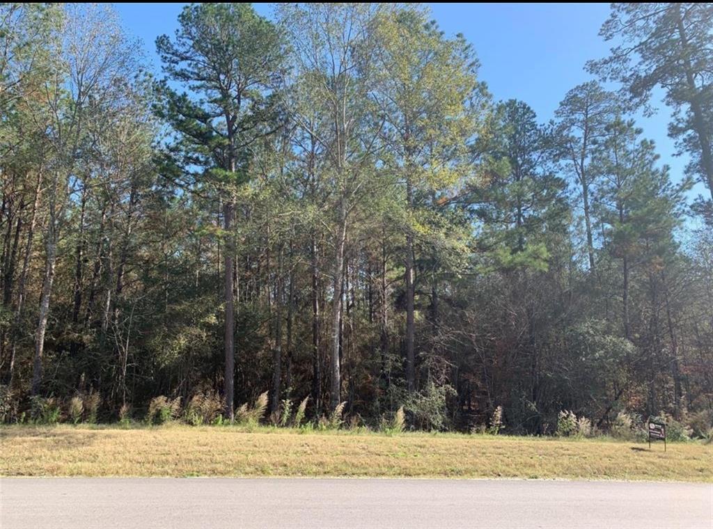 TBD LOT 51 Lonestar Road, Huntsville, Texas image 5