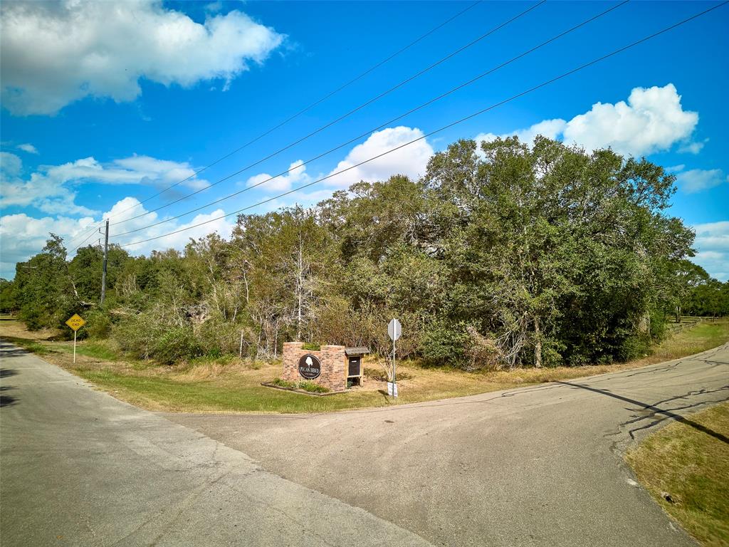 TBD Lake View Road, Damon, Texas image 18