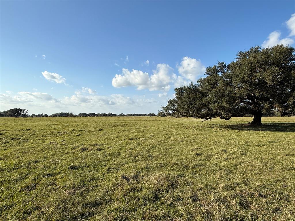 31619 Highway 36, West Columbia, Texas image 3