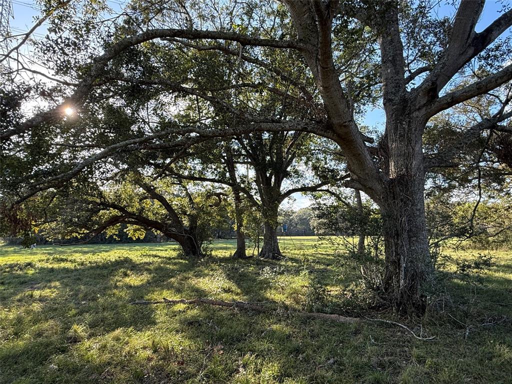 31619 Highway 36, West Columbia, Texas image 23