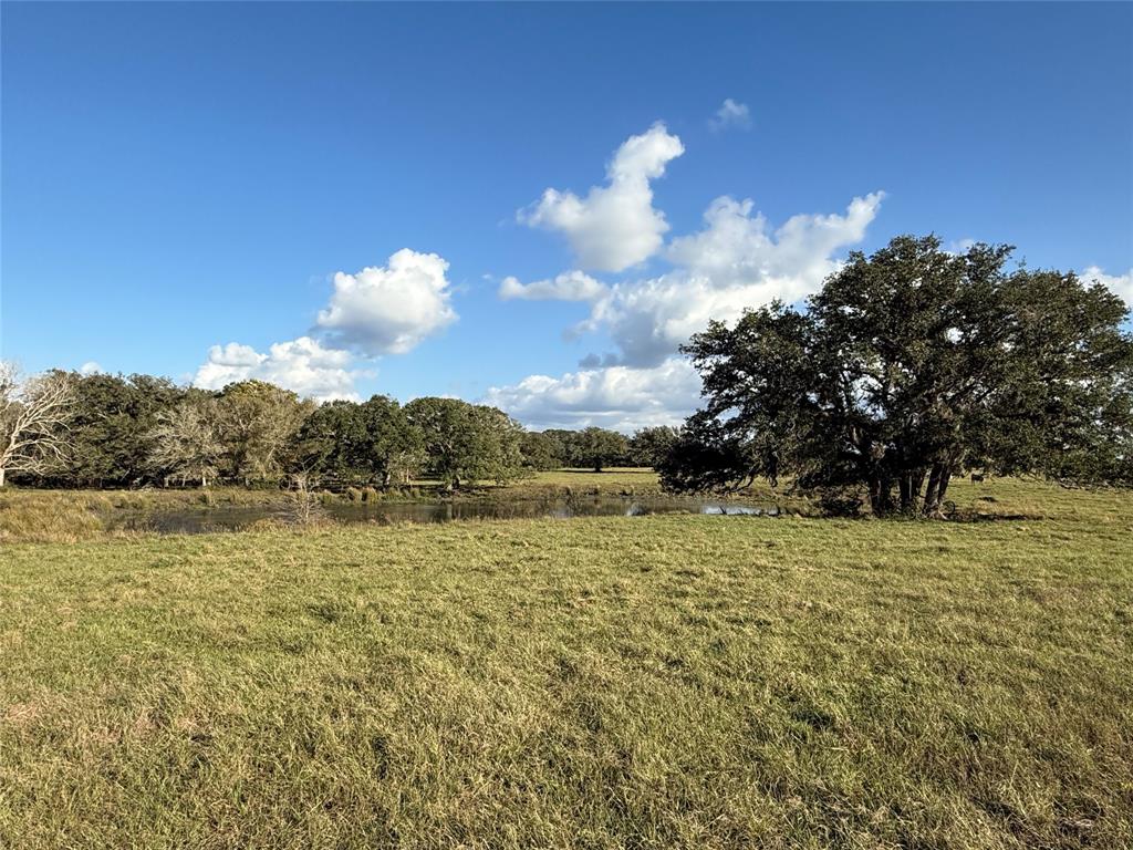 31619 Highway 36, West Columbia, Texas image 10