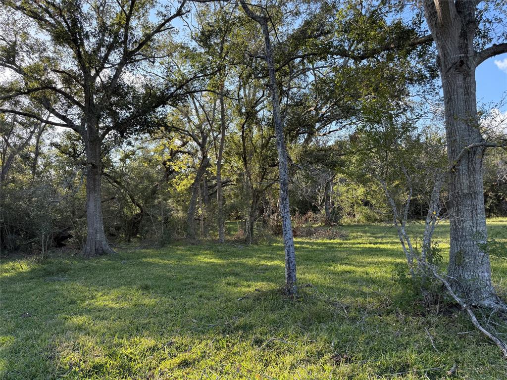 31619 Highway 36, West Columbia, Texas image 14