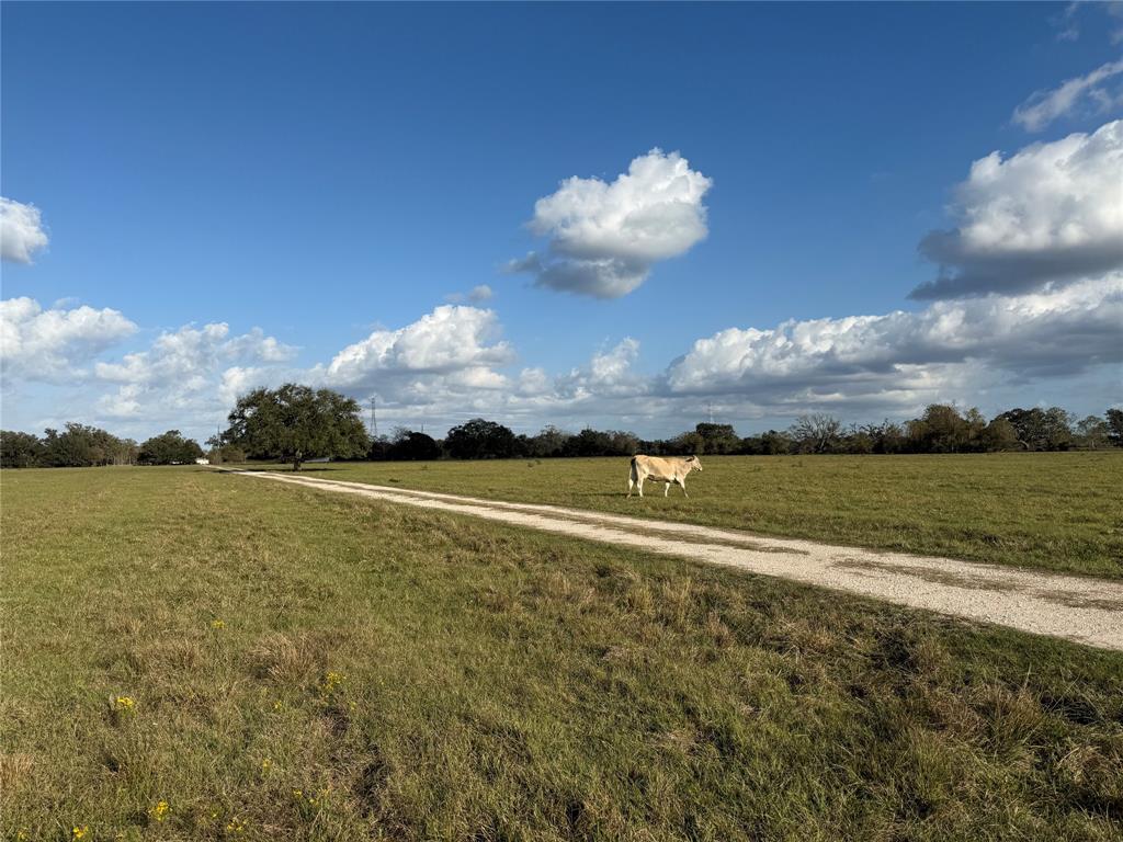 31619 Highway 36, West Columbia, Texas image 5