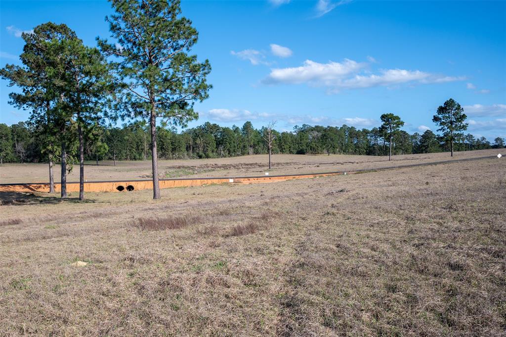 415 Evergreen Trail, Woodville, Texas image 5