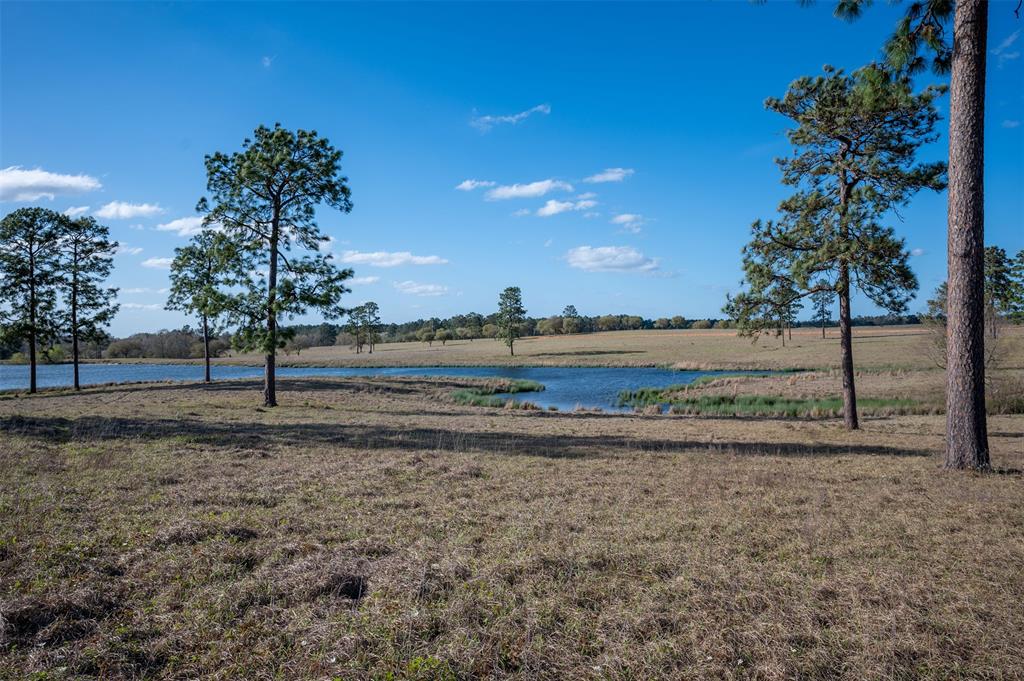 415 Evergreen Trail, Woodville, Texas image 3