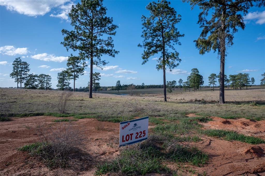 415 Evergreen Trail, Woodville, Texas image 2