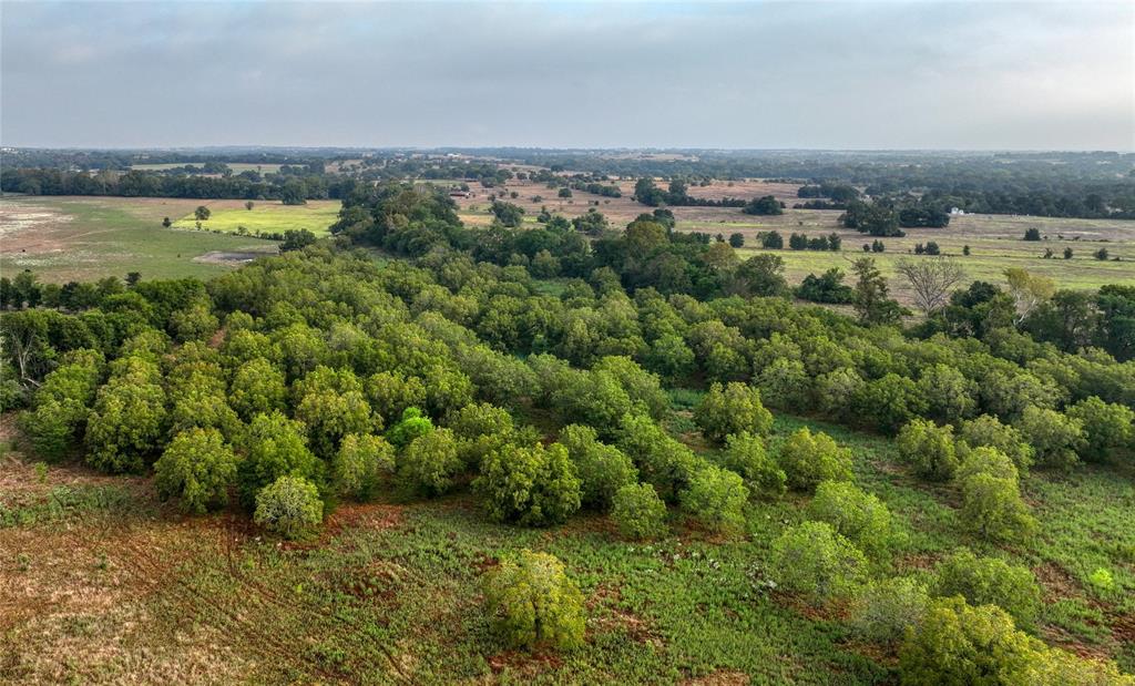 8 Orchard Oaks Lane, Brenham, Texas image 1