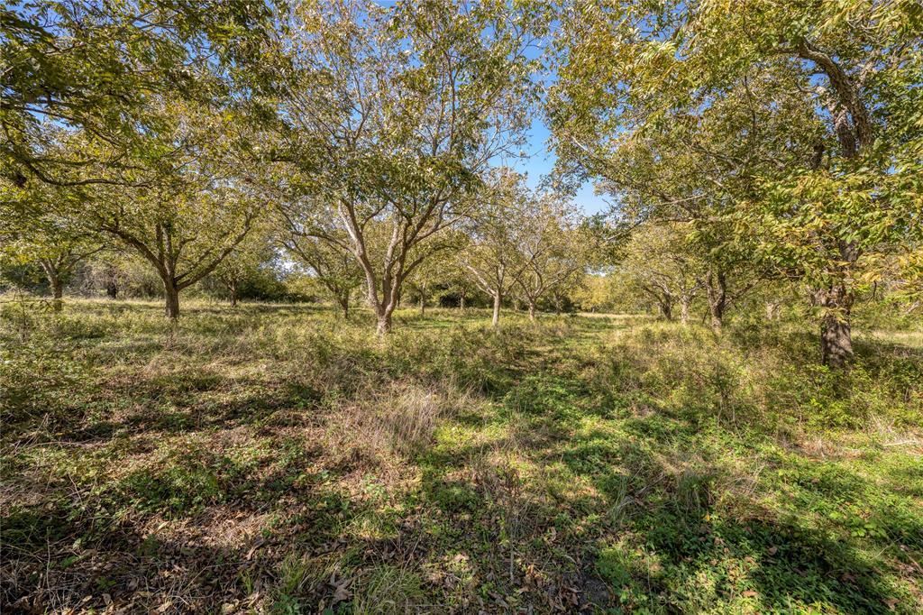 8 Orchard Oaks Lane, Brenham, Texas image 3