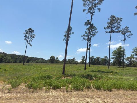 Photo of 0 Addison Road, Livingston, TX 77351 (MLS # 69220057)