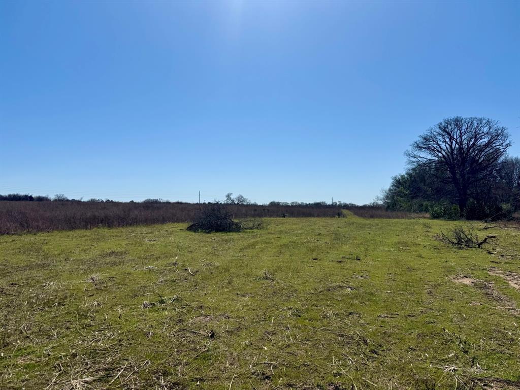 TBD County Road 2244, Mineola, Texas image 16