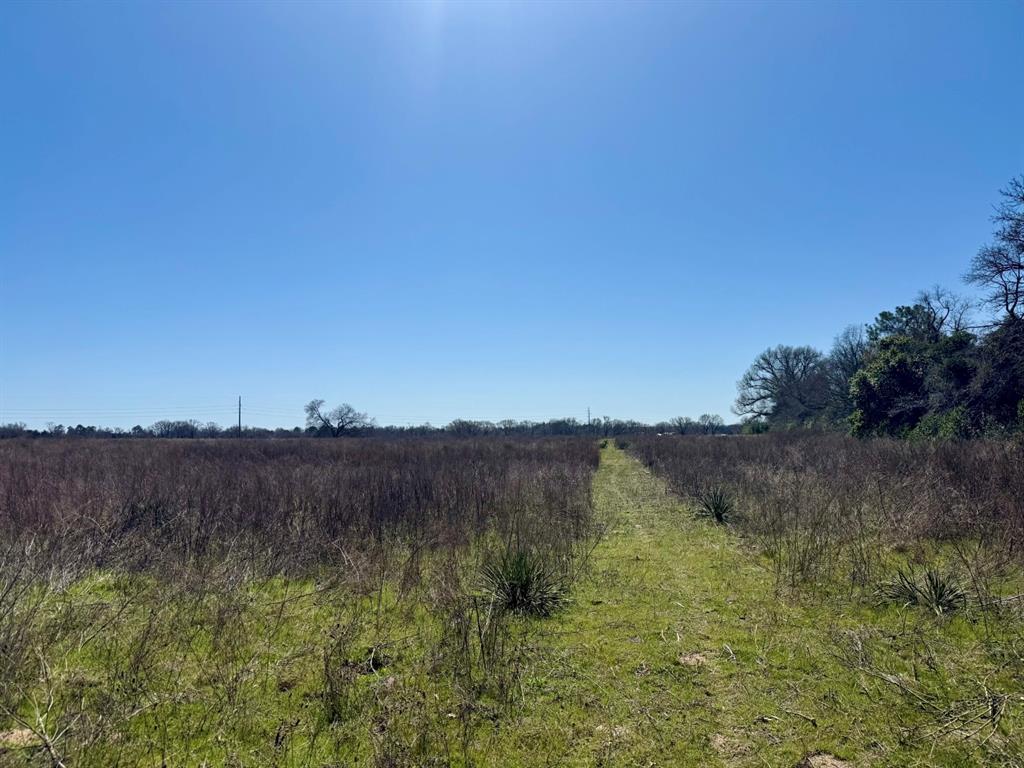 TBD County Road 2244, Mineola, Texas image 13