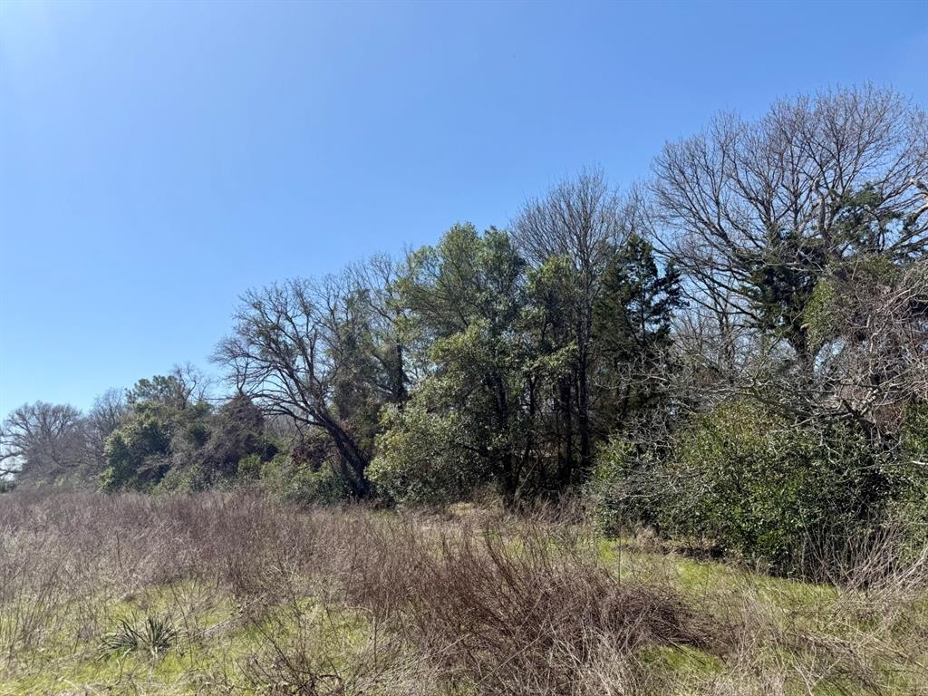 TBD County Road 2244, Mineola, Texas image 15