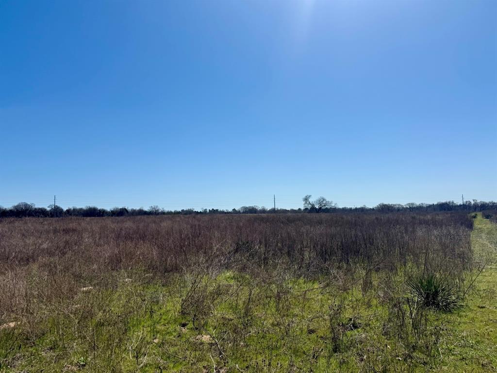 TBD County Road 2244, Mineola, Texas image 14