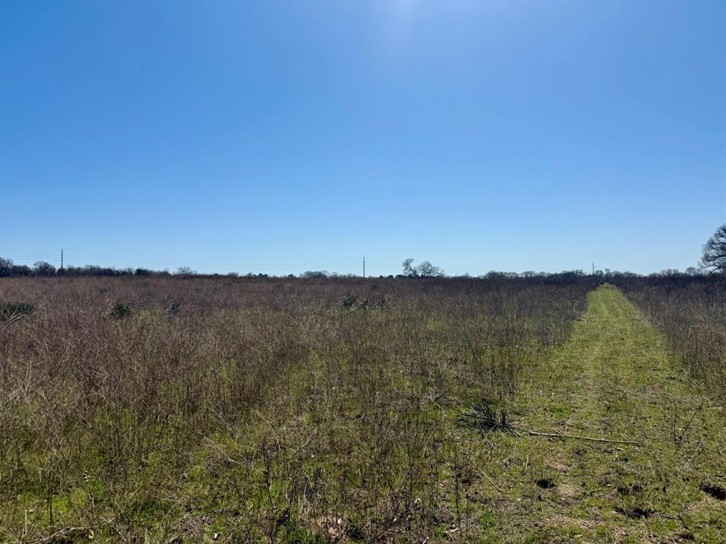 TBD County Road 2244, Mineola, Texas image 12