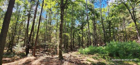 Photo of TBD County Road 405, San Augustine, TX 75972 (MLS # 50558686) Photo of TBD County Road 405, San Augustine, TX 75972 (MLS # 50558686)