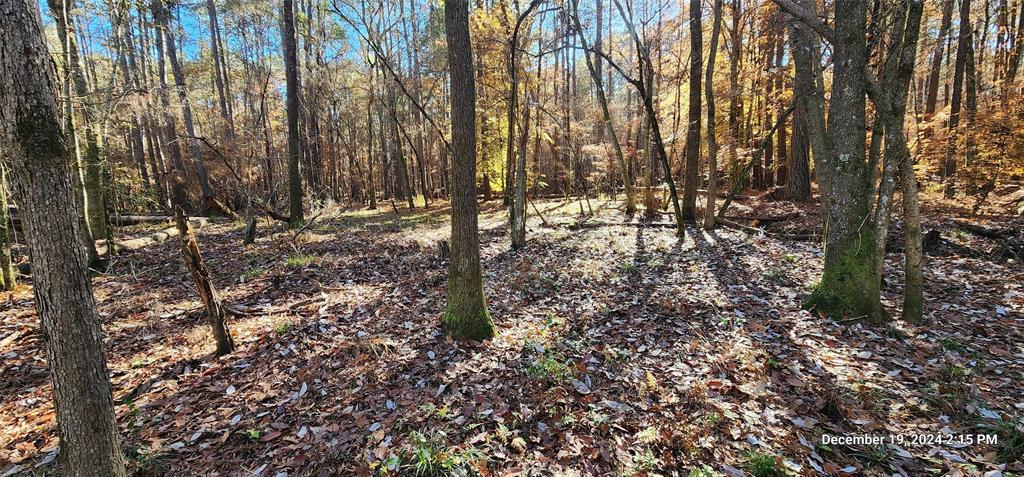 TBD County Road 405, San Augustine, Texas image 41