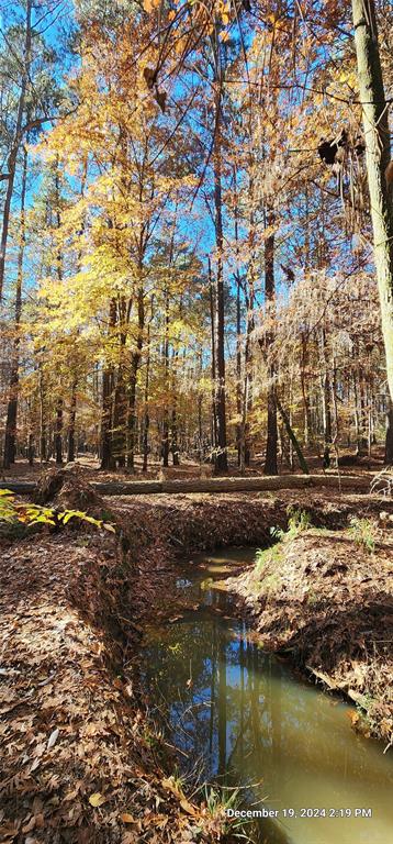 TBD County Road 405, San Augustine, Texas image 19