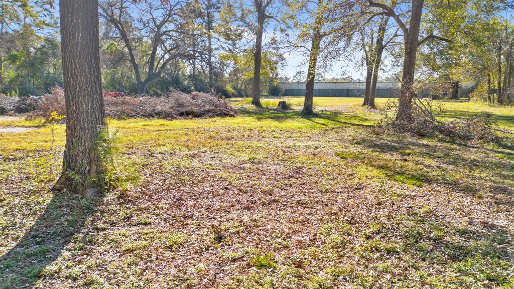 4001 Lonesome Pine Road, Spring, Texas image 4