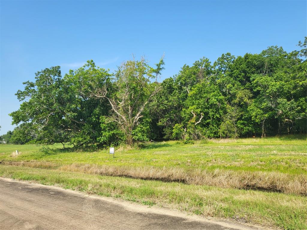 Lot 71 Conestoga Trail, Angleton, Texas image 4