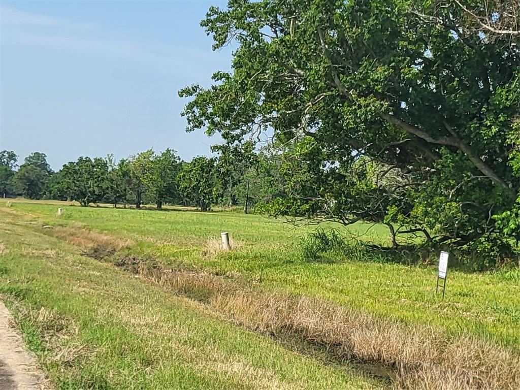 Lot 71 Conestoga Trail, Angleton, Texas image 5